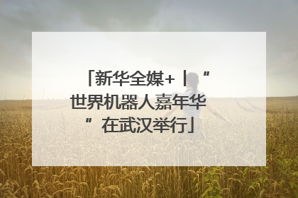 新华全媒+丨“世界机器人嘉年华”在武汉举行