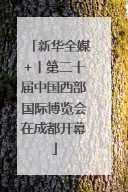 新华全媒+丨第二十届中国西部国际博览会在成都开幕