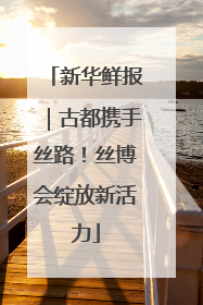 新华鲜报｜古都携手丝路！丝博会绽放新活力