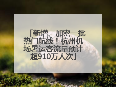 新增、加密一批热门航线！杭州机场暑运客流量预计超910万人次
