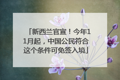 新西兰官宣！今年11月起，中国公民符合这个条件可免签入境
