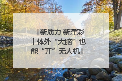 新质力 新津彩丨体外“大脑”也能“开”无人机