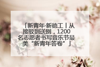 新青年·新德工丨从接驳到送别，1200名志愿者书写音乐节最美“新青年答卷”
