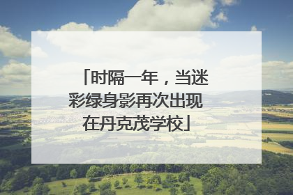时隔一年，当迷彩绿身影再次出现在丹克茂学校