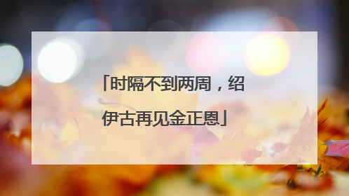 时隔不到两周，绍伊古再见金正恩