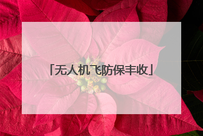 无人机飞防保丰收