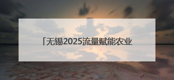 无锡2025流量赋能农业发展“乡村行”正式启动