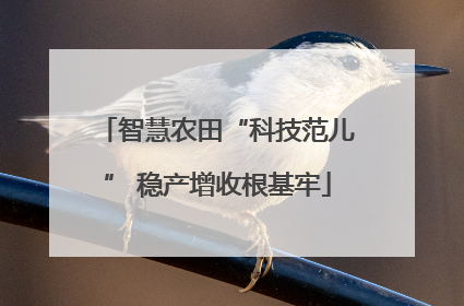 智慧农田“科技范儿” 稳产增收根基牢