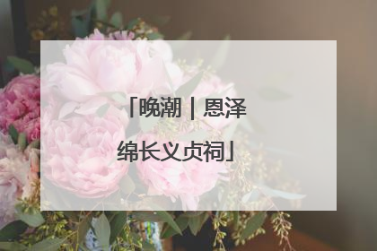 晚潮｜恩泽绵长义贞祠