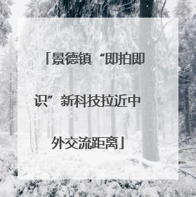 景德镇“即拍即识”新科技拉近中外交流距离