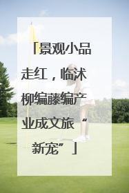 景观小品走红，临沭柳编藤编产业成文旅“新宠”
