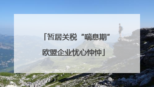暂居关税“喘息期” 欧盟企业忧心忡忡
