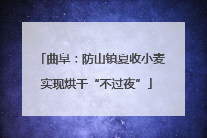 曲阜：防山镇夏收小麦实现烘干“不过夜”