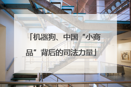 机器狗、中国“小商品”背后的司法力量