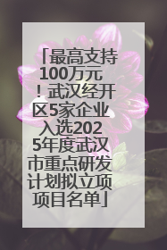 最高支持100万元！武汉经开区5家企业入选2025年度武汉市重点研发计划拟立项项目名单