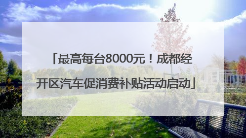 最高每台8000元！成都经开区汽车促消费补贴活动启动