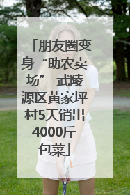 朋友圈变身“助农卖场” 武陵源区黄家坪村5天销出4000斤包菜