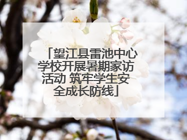 望江县雷池中心学校开展暑期家访活动 筑牢学生安全成长防线