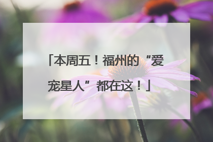 本周五！福州的“爱宠星人”都在这！