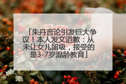 朱丹言论引发巨大争议！本人发文道歉：从未让女儿留级，接受的是3-7岁混龄教育