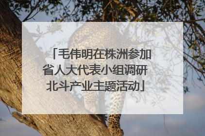 毛伟明在株洲参加省人大代表小组调研北斗产业主题活动