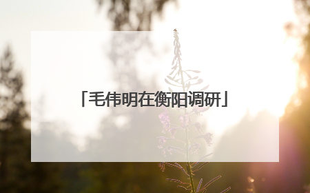 毛伟明在衡阳调研