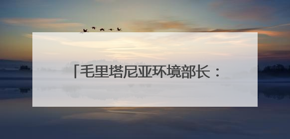 毛里塔尼亚环境部长：中非绿色合作播种非洲“绿色长城”的未来