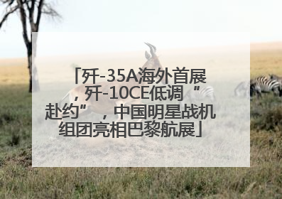 歼-35A海外首展，歼-10CE低调“赴约”，中国明星战机组团亮相巴黎航展