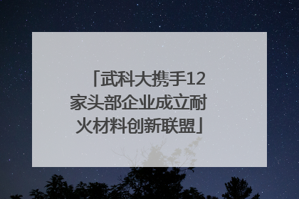 武科大携手12家头部企业成立耐火材料创新联盟