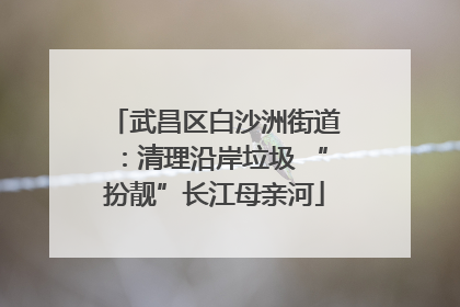 武昌区白沙洲街道：清理沿岸垃圾 “扮靓”长江母亲河