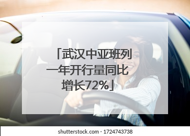 武汉中亚班列一年开行量同比增长72%