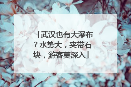 武汉也有大瀑布？水势大，夹带石块，游客莫深入