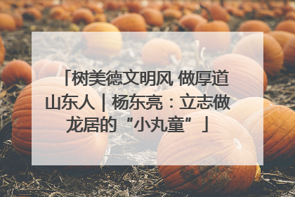 树美德文明风 做厚道山东人｜杨东亮：立志做龙居的“小丸童”