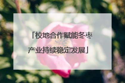 校地合作赋能冬枣产业持续稳定发展