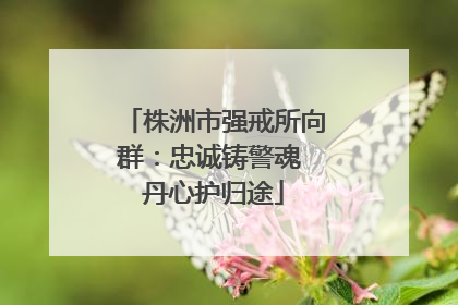 株洲市强戒所向群：忠诚铸警魂 丹心护归途