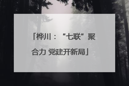 桦川：“七联”聚合力 党建开新局