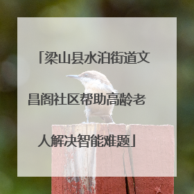 梁山县水泊街道文昌阁社区帮助高龄老人解决智能难题