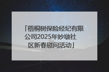 梧桐树保险经纪有限公司2025年妙墩社区新春慰问活动