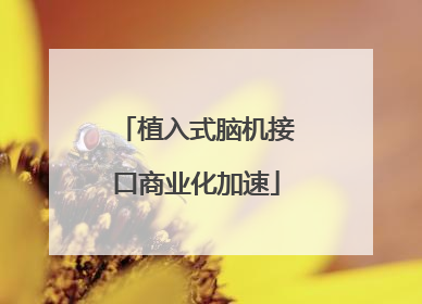 植入式脑机接口商业化加速