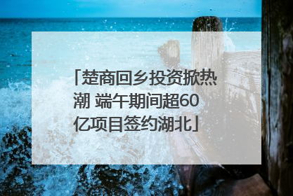 楚商回乡投资掀热潮 端午期间超60亿项目签约湖北