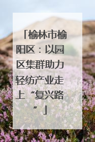 榆林市榆阳区：以园区集群助力轻纺产业走上“复兴路”