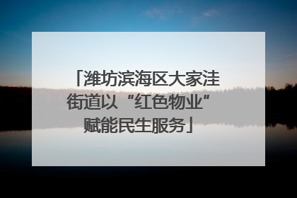 潍坊滨海区大家洼街道以“红色物业”赋能民生服务