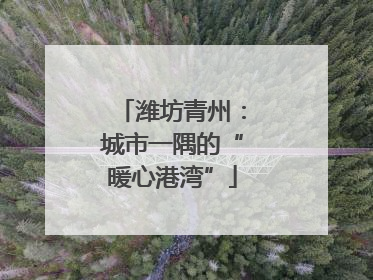潍坊青州：城市一隅的“暖心港湾”