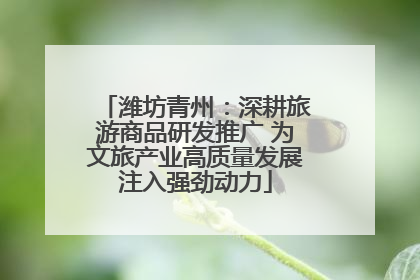 潍坊青州：深耕旅游商品研发推广 为文旅产业高质量发展注入强劲动力