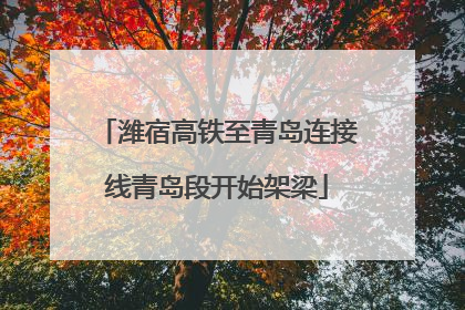 潍宿高铁至青岛连接线青岛段开始架梁