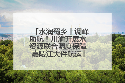 水润蜀乡丨调峰助航！川渝开展水资源联合调度保障嘉陵江大件航运