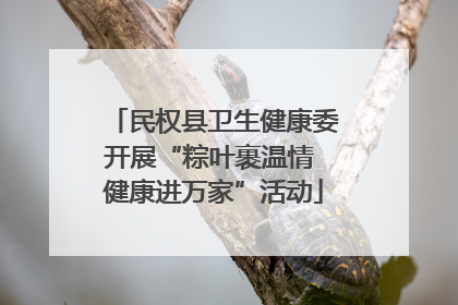 民权县卫生健康委开展“粽叶裹温情 健康进万家”活动