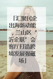 汇聚民企出海新动能，兰山区“沂企联”会客厅打造跨境发展强磁场