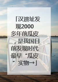 汉遗址发现2000多年前瓜皮，是我国目前发现时代最早“瓜皮”实物→