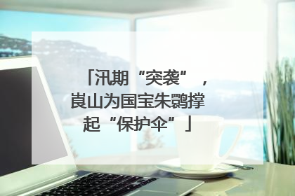 汛期“突袭”，崀山为国宝朱鹮撑起“保护伞”